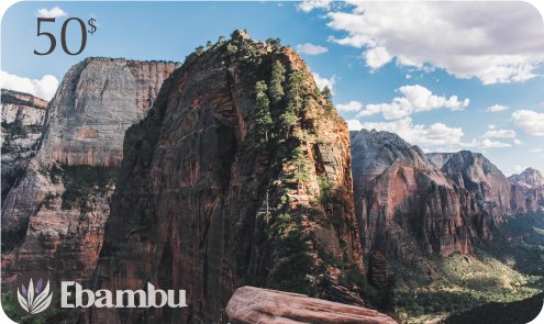 Gift Card by Ebambu.ca - Ebambu.ca natural health product store - free shipping <59$