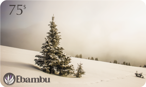 Gift Card by Ebambu.ca - Ebambu.ca natural health product store - free shipping <59$