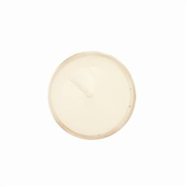 Honey Candles - T-Light Single - 3 colours - 3 style cups by Honey Candles - Ebambu.ca natural health product store - free shipping <59$