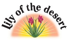 Lily of the desert