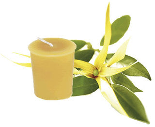 Honey Candles - Essential Votives - Candles scented with essential oils by Honey Candles - Ebambu.ca natural health product store - free shipping <59$ 